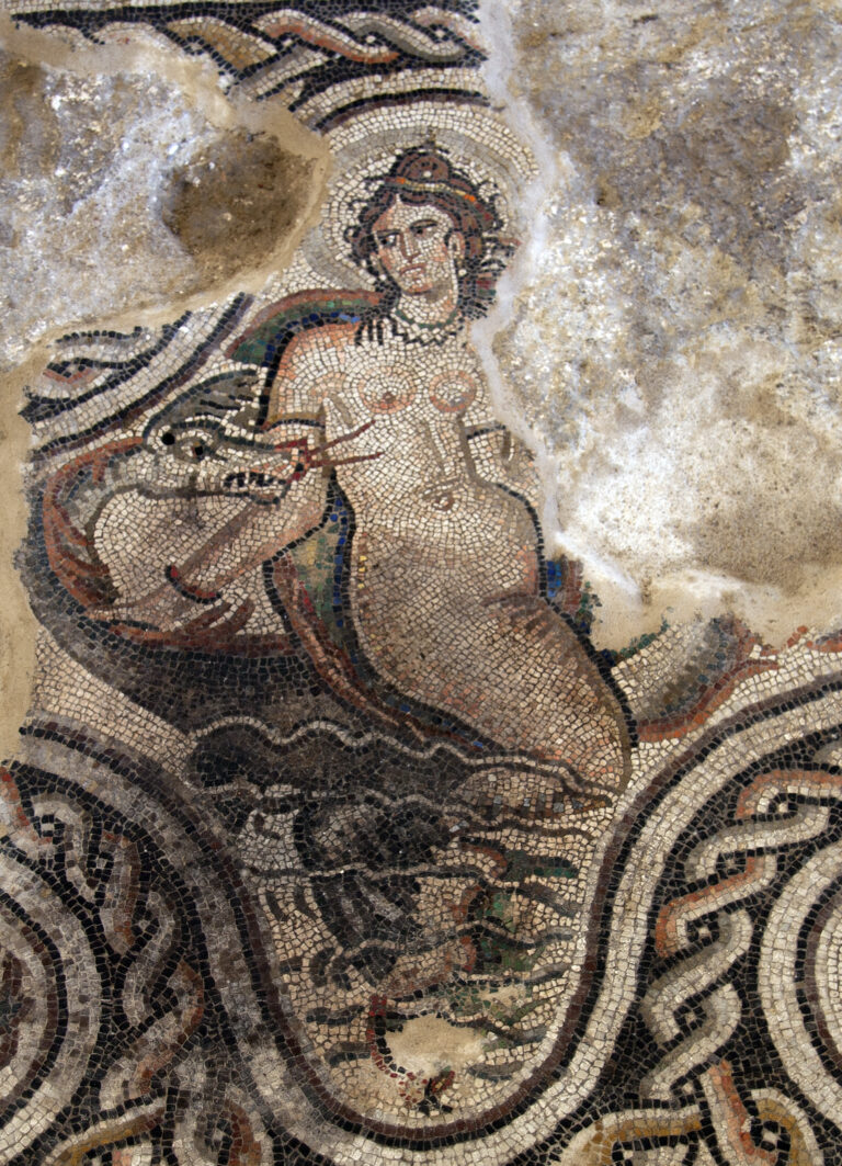 Villa Romana de Salar