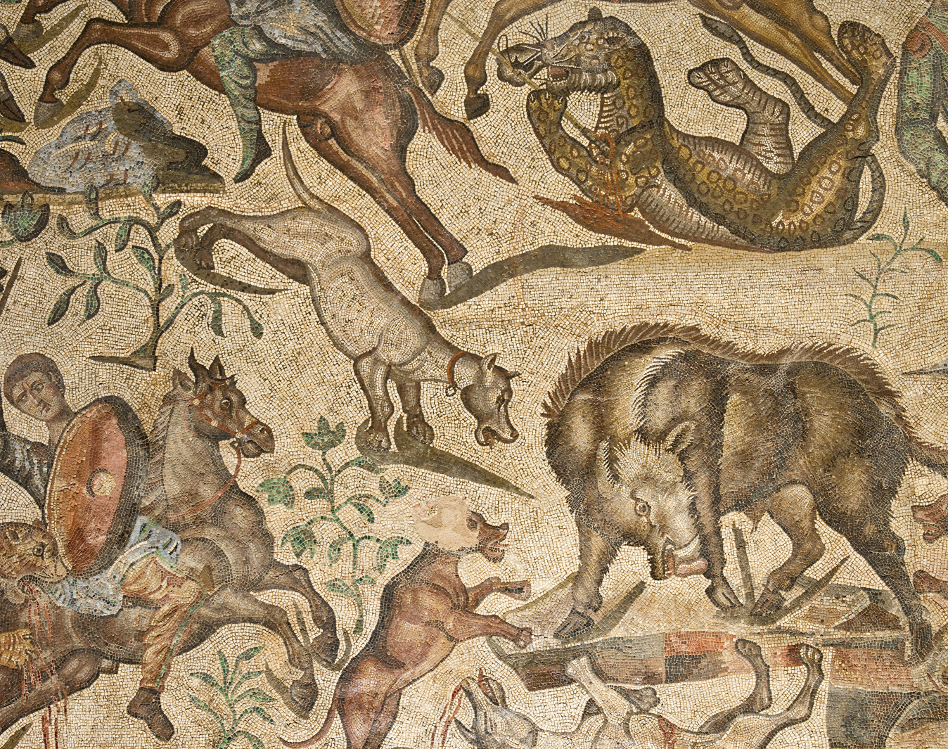 Roman Villa La Olmeda